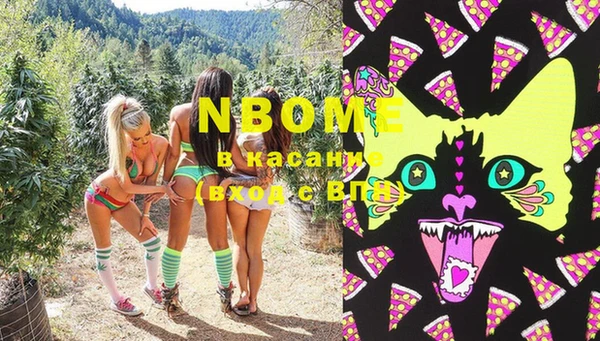 PSILOCYBIN Алзамай