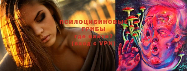 PSILOCYBIN Алзамай