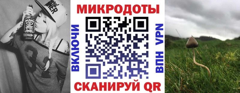 купить закладку  Усть-Лабинск  Галлюциногенные грибы прущие грибы 